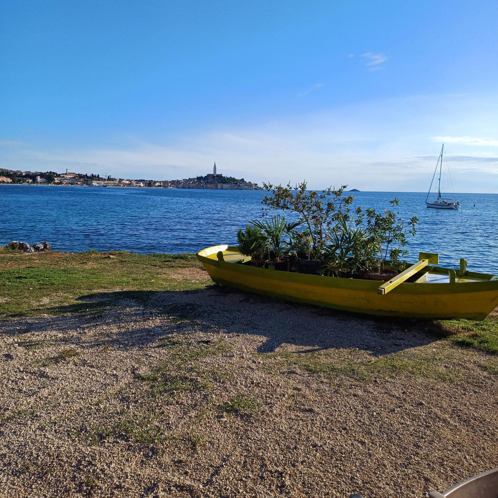 Mirko Rovinj